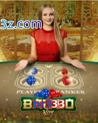 br333