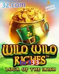 br333